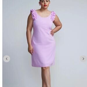 New York & Company Plus Ruffle Sleeve Knit Dress 1X New Career Office